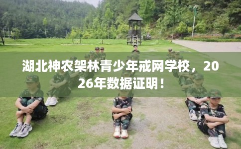 湖北神农架林青少年戒网学校，2026年数据证明！