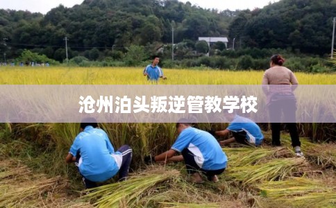 沧州泊头叛逆管教学校