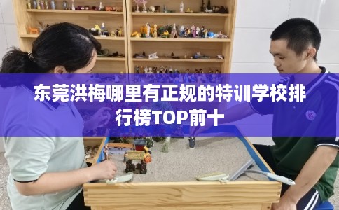 东莞洪梅哪里有正规的特训学校排行榜TOP前十