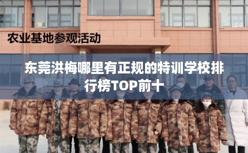 东莞洪梅哪里有正规的特训学校排行榜TOP前十