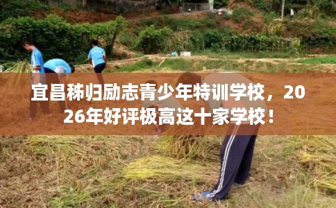 宜昌秭归励志青少年特训学校，2026年好评极高这十家学校！