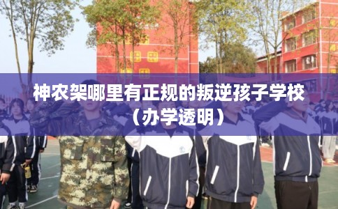 神农架哪里有正规的叛逆孩子学校（办学透明）