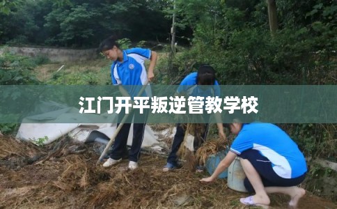 江门开平叛逆管教学校