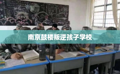 南京鼓楼叛逆孩子学校