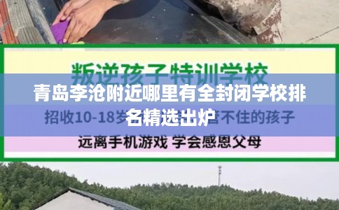 青岛李沧附近哪里有全封闭学校排名精选出炉