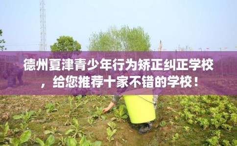 德州夏津青少年行为矫正纠正学校，给您推荐十家不错的学校！