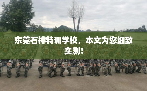 东莞石排特训学校，本文为您细致实测！