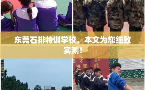 东莞石排特训学校，本文为您细致实测！