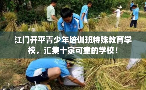 江门开平青少年培训班特殊教育学校，汇集十家可靠的学校！