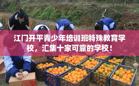 江门开平青少年培训班特殊教育学校，汇集十家可靠的学校！