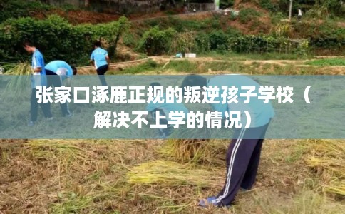 张家口涿鹿正规的叛逆孩子学校（解决不上学的情况）