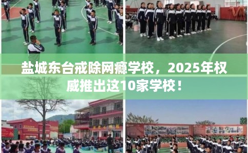 盐城东台戒除网瘾学校，2025年权威推出这10家学校！