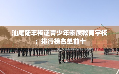 汕尾陆丰叛逆青少年素质教育学校:排行榜名单前十 汕尾陆丰叛逆青少年素质教育学校:排行榜名单前十