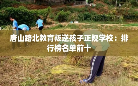 唐山路北教育叛逆孩子正规学校:排行榜名单前十 唐山路北教育叛逆孩子正规学校:排行榜名单前十