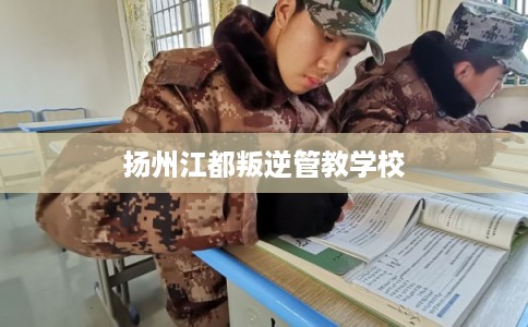 扬州江都叛逆管教学校