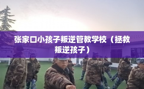 张家口小孩子叛逆管教学校（拯救叛逆孩子）
