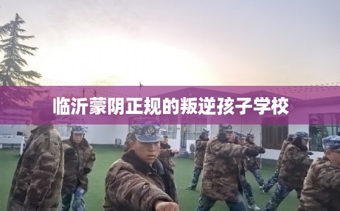临沂蒙阴正规的叛逆孩子学校 临沂蒙阴正规的叛逆孩子学校