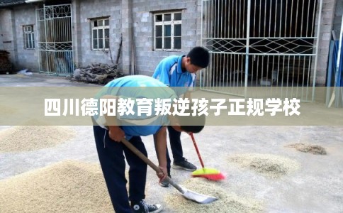 四川德阳教育叛逆孩子正规学校