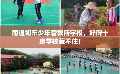 南通如东少年管教所学校,好得十家学校藏不住! 南通如东少年管教所学校,好得十家学校藏不住!