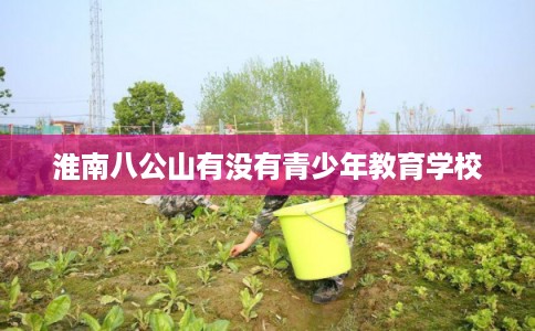 淮南八公山有没有青少年教育学校