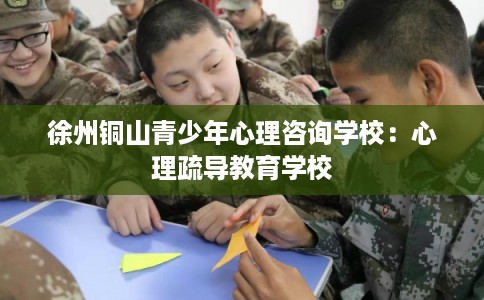 徐州铜山青少年心理咨询学校:心理疏导教育学校 徐州铜山青少年心理咨询学校:心理疏导教育学校