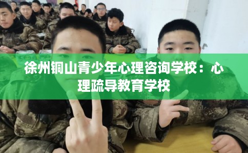 徐州铜山青少年心理咨询学校:心理疏导教育学校 徐州铜山青少年心理咨询学校:心理疏导教育学校