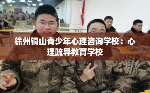 徐州铜山青少年心理咨询学校：心理疏导教育学校