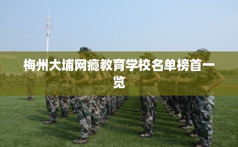 梅州大埔网瘾教育学校名单榜首一览