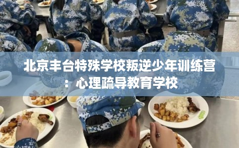北京丰台特殊学校叛逆少年训练营:心理疏导教育学校 北京丰台特殊学校叛逆少年训练营:心理疏导教育学校