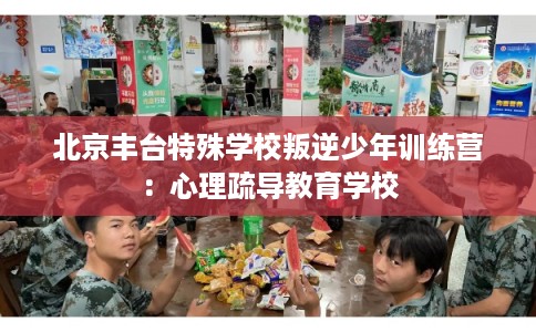 北京丰台特殊学校叛逆少年训练营:心理疏导教育学校 北京丰台特殊学校叛逆少年训练营:心理疏导教育学校