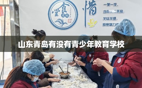 山东青岛有没有青少年教育学校 山东青岛有没有青少年教育学校