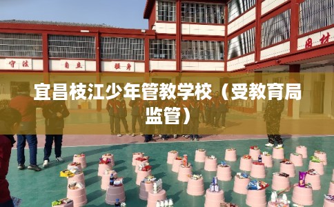 宜昌枝江少年管教学校（受教育局监管）