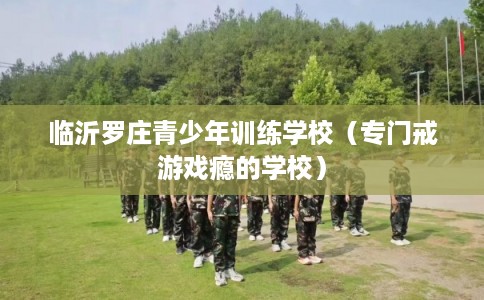 临沂罗庄青少年训练学校（专门戒游戏瘾的学校）