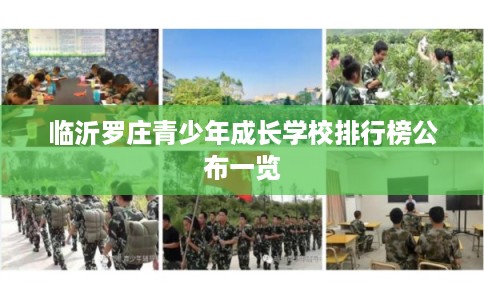 临沂罗庄青少年成长学校排行榜公布一览