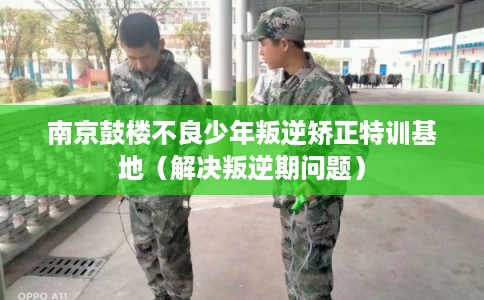 南京鼓楼不良少年叛逆矫正特训基地(解决叛逆期问题) 南京鼓楼不良少年叛逆矫正特训基地(解决叛逆期问题)