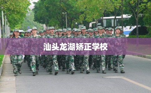 汕头龙湖矫正学校