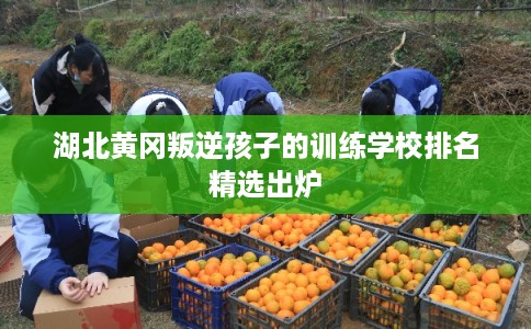 湖北黄冈叛逆孩子的训练学校排名精选出炉