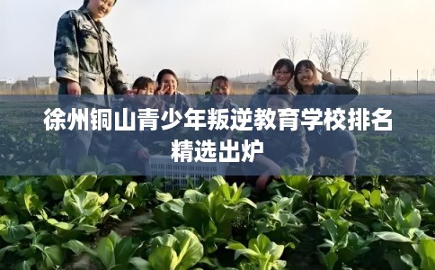 徐州铜山青少年叛逆教育学校排名精选出炉 徐州铜山青少年叛逆教育学校排名精选出炉