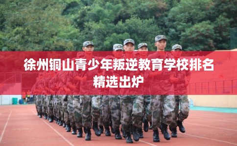 徐州铜山青少年叛逆教育学校排名精选出炉