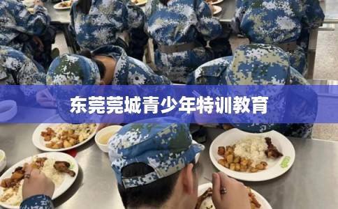 东莞莞城青少年特训教育