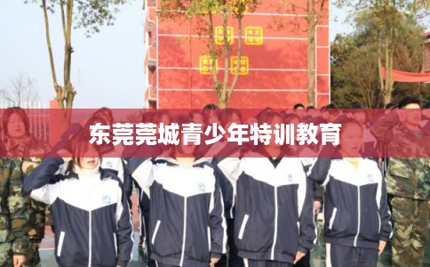 东莞莞城青少年特训教育