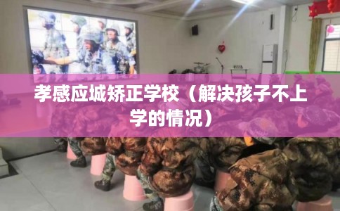 孝感应城矫正学校(解决孩子不上学的情况) 孝感应城矫正学校(解决孩子不上学的情况)