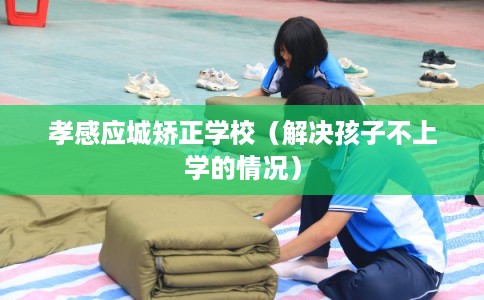 孝感应城矫正学校(解决孩子不上学的情况) 孝感应城矫正学校(解决孩子不上学的情况)