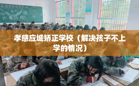 孝感应城矫正学校（解决孩子不上学的情况）