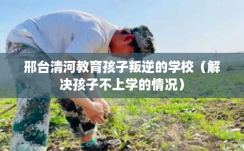 邢台清河教育孩子叛逆的学校（解决孩子不上学的情况）