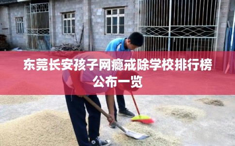 东莞长安孩子网瘾戒除学校排行榜公布一览