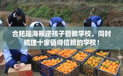 合肥瑶海叛逆孩子管教学校，同时梳理十家值得信赖的学校！