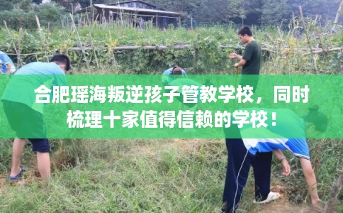 合肥瑶海叛逆孩子管教学校，同时梳理十家值得信赖的学校！