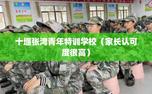 十堰张湾青年特训学校(家长认可度很高) 十堰张湾青年特训学校(家长认可度很高)
