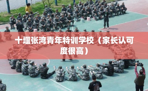 十堰张湾青年特训学校(家长认可度很高) 十堰张湾青年特训学校(家长认可度很高)